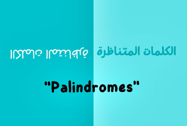 ماهي palindromes