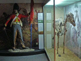 Napoleon's horse