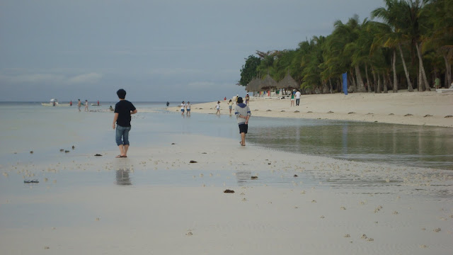 Bohol hotel and restaurant