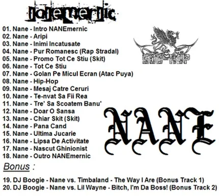 02. NANEmernic (mixtape)
