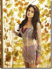 hot_actresses_2011_calendar_stills_of_venket_ram-18