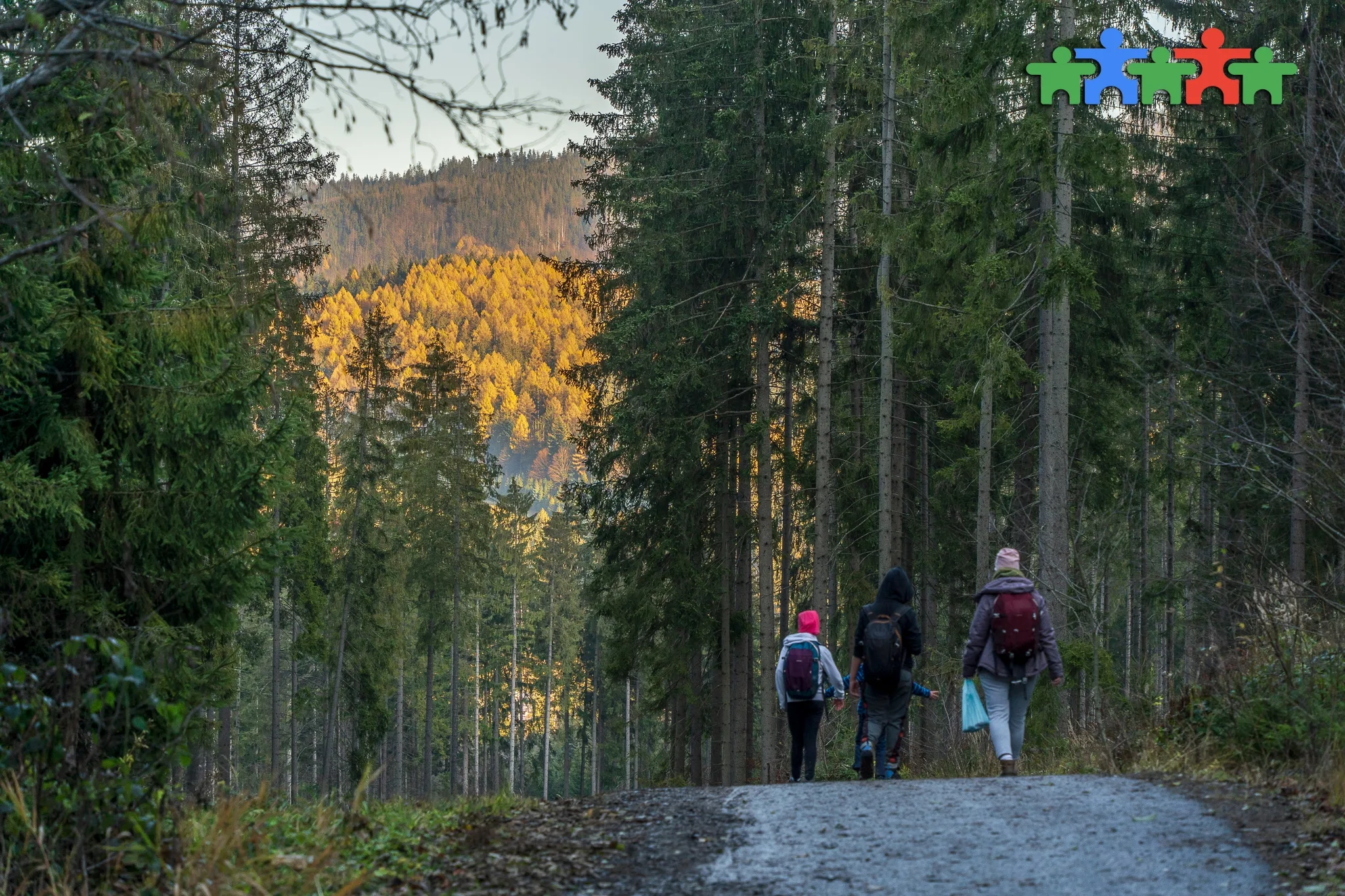 Najpiękniejsze szlaki Beskidu Żywieckiego: widokowa pętla na Wielką Rycerzową