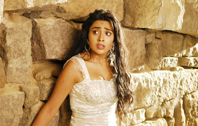 Shriya Unseen Hot Photos