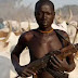 Benue elders asks Buhari to declare Fulani herdsmen terrorists