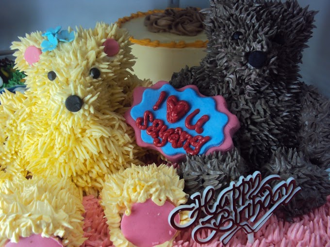 Teddy Bear cake