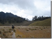 DSC02515