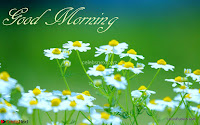 New Good Morning Whatsapp Messages Free 039.jpg