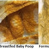 Baby Formula Poop Color