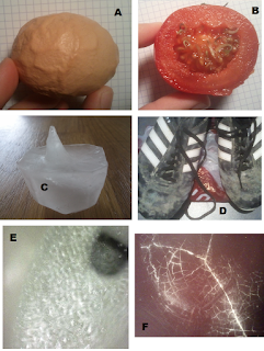 WTF: 6 énigmes scientifiques en images