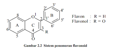 Hubungan Struktur dan Kereaktifan Senyawa Turuan Flavonoid
