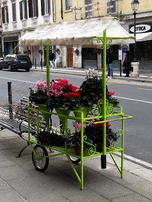 Florist cart, Livorno