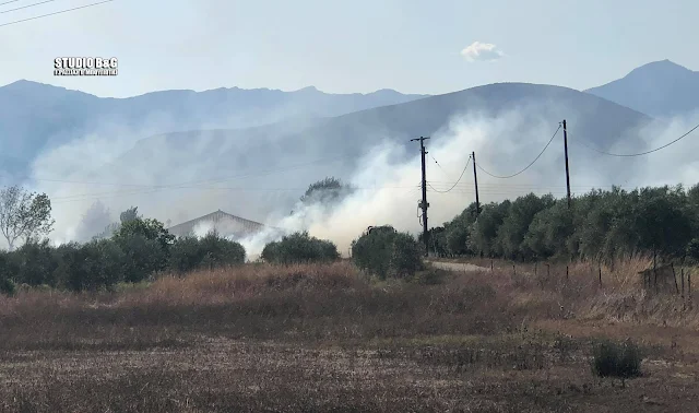 Ένταση με Ρομά σε κατασβεση φωτιά στην Αργολίδα - Χρειάστηκε η παρουσία της αστυνομίας