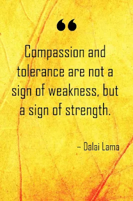 Best Quotes about Compassion and empathy