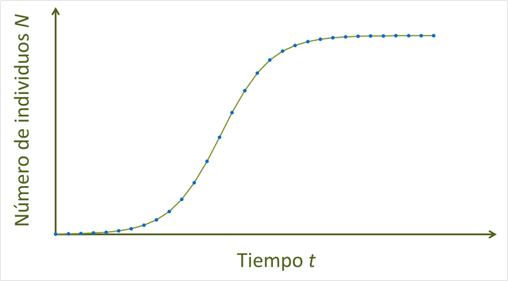 Modelo logístico. El modelo exponencial es una aproximación al promedio de lo que pasa cuando se alcanza la catástrofe mathusiana, asumiendo que los recursos limitantes son renovables de manera continua.