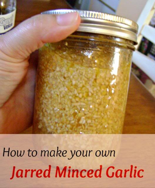 http://thesunnypatch.ca/how-to-make-your-own-jarred-minced-garlic/