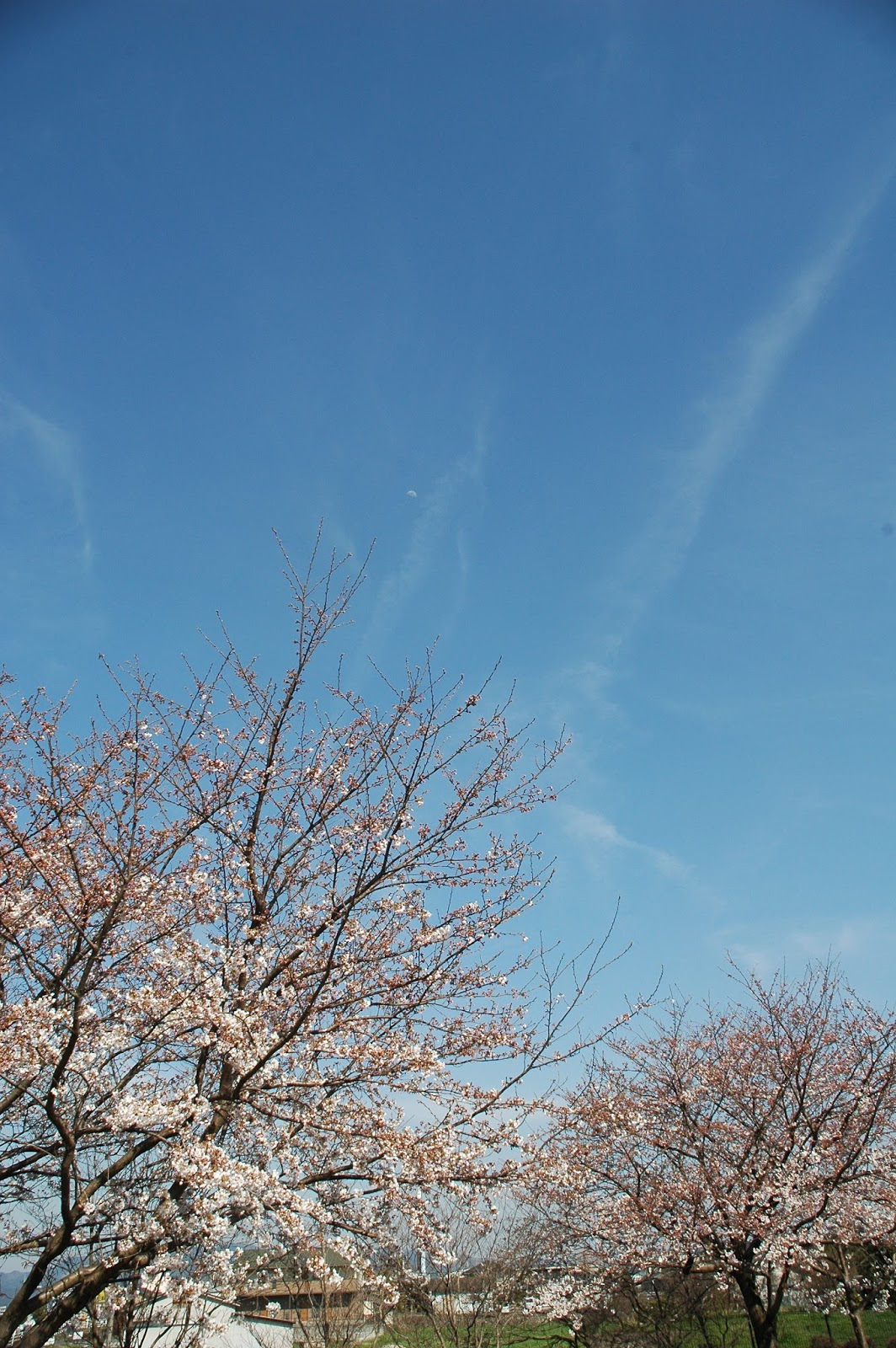 だまされた と居直る東芝 志賀 ロデリック体制の厚顔 東芝問題リポート 編集部 毎日新聞 経済プレミア
