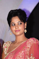 Actress, Bindhu, Madhavi, in, Pink, Saree, Photos