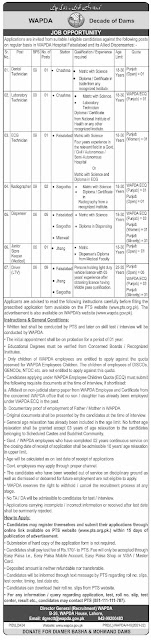 WAPDA Hospital Faisalabad Jobs 2022 Maintenance Staff Form Download
