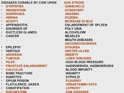 Cow Urine Uses