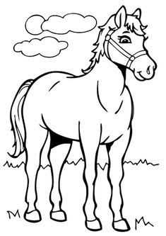 Get free and printable little horse coloring pages