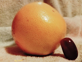 Grapefruit Grape Fruit #humor on uniquelymaladjustedbutfun.blogspot