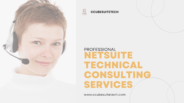 professional NetSuite technical consulting services