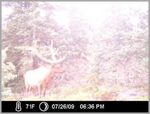 ICAM0031