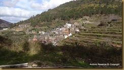 28-DSC03174