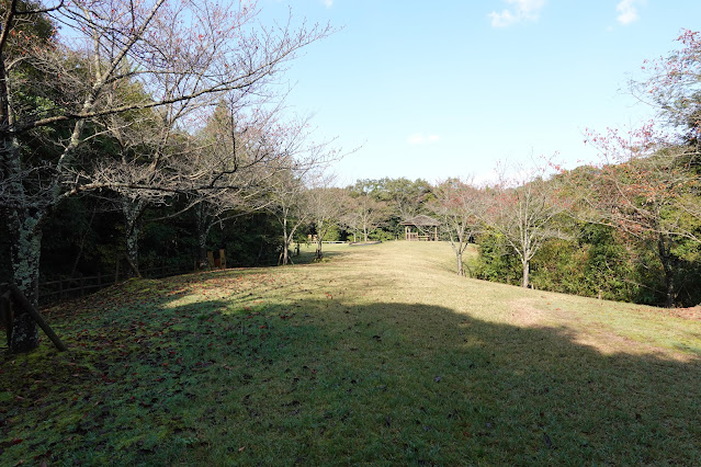 島根県松江市大垣町　松江フォーゲルパーク　芝生け広場