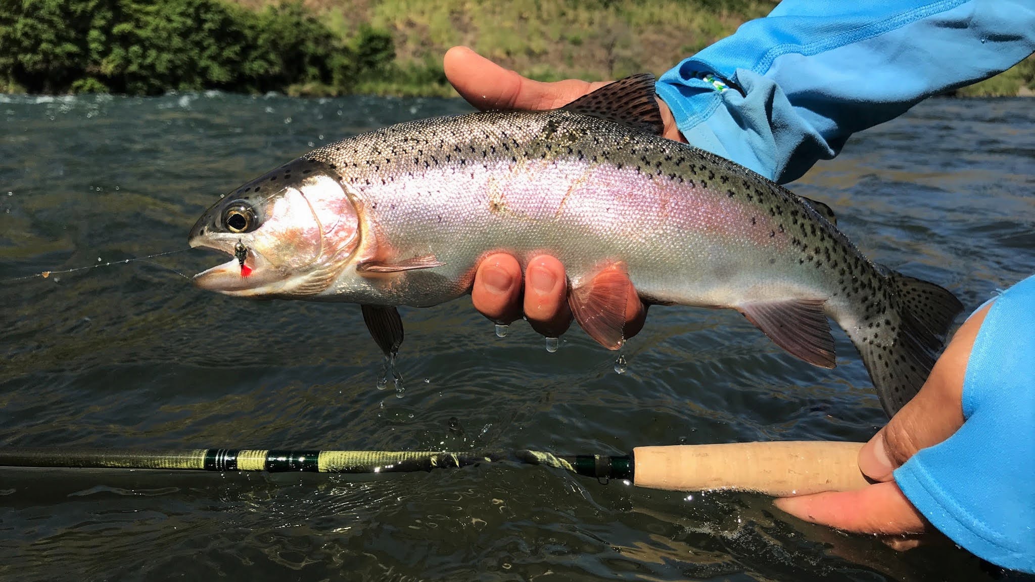 Gorge Fly Shop Blog: European Style Nymphing (ESN), Why Do It