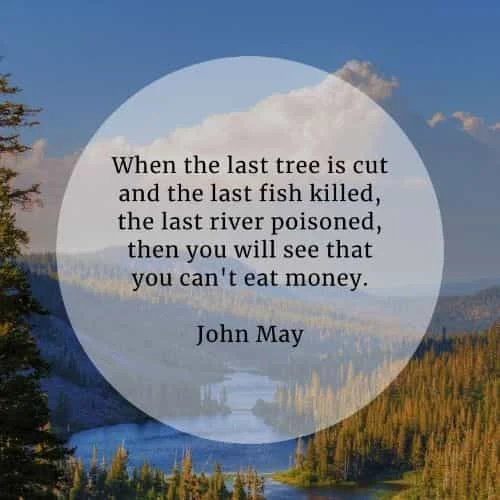 Environment quotes about protecting our mother earth