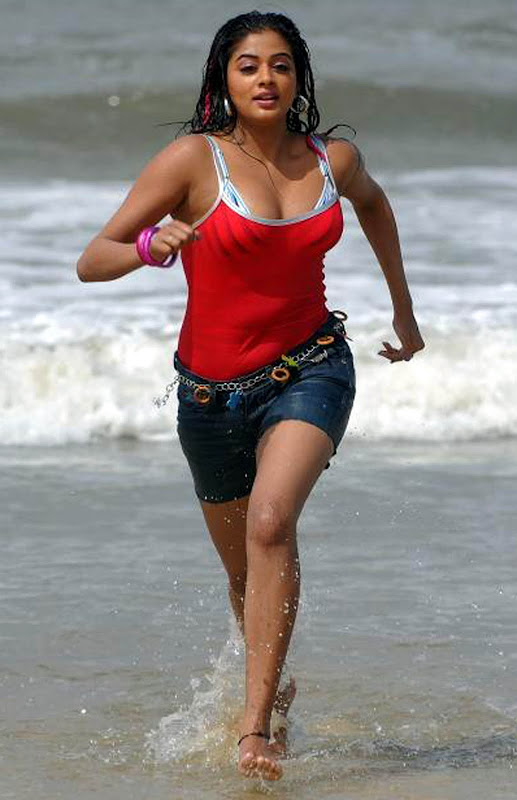 Actress Priyamani Spicy Stills in Raaj Telugu Movie Photoshoot images