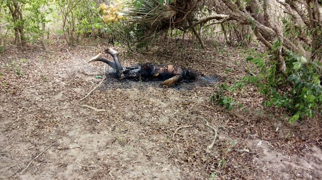 CADÁVER É ENCONTRADO EM CHAMAS NA DIVISA DE BOM CONSELHO/PE COM PALMEIRA DOS INDIOS-AL