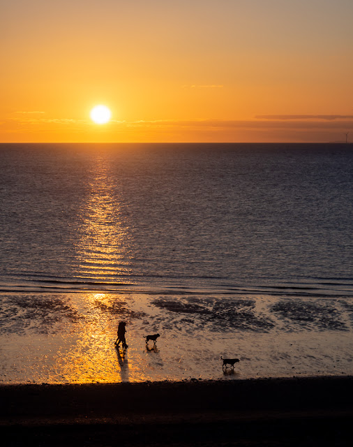 Photo of dog walkers on the shore at Maryport