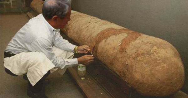 China: 125,000,000-Year Old Giant Mummified Penis Baffles Scientists