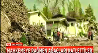 ağaçları böyle katlettiler 