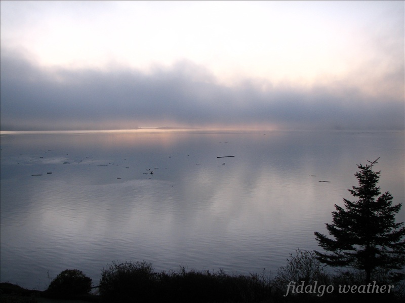 slender man forest fog. Fog is a low-lying cloud which