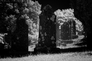 Download Spooky Graveyard Halloween Wallpaper