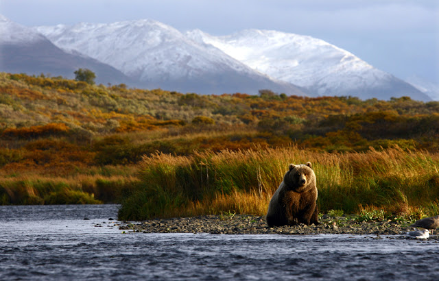 Best Time to Visit Alaska A Comprehensive Guide to Seasonal Delights(2023)