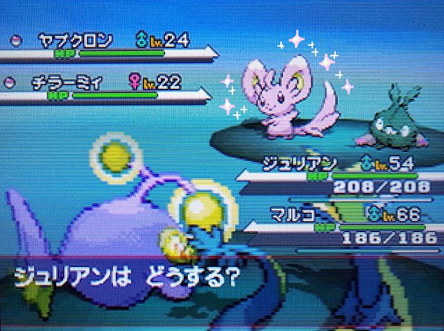 Iro Blog 色違いチラーミィ