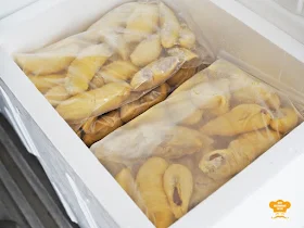 Frozen Durian For Export at Durian Wonderland 