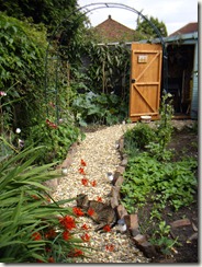 Tiger in the garden 006