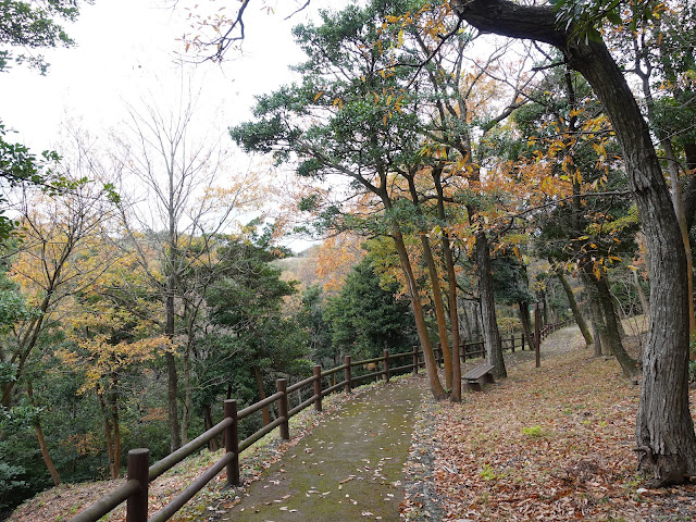 むきばんだ史跡公園の弥生の森の遊歩道