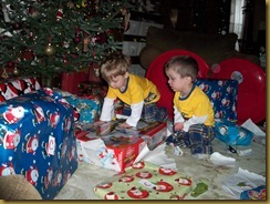 Christmas 2010 011