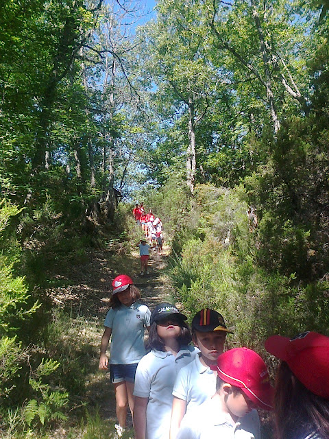 Visita Campamento San Fernando en Las Cavenes