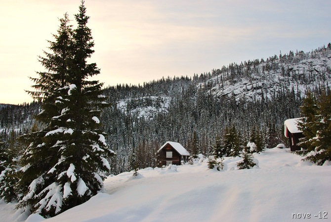 Fekjan 025