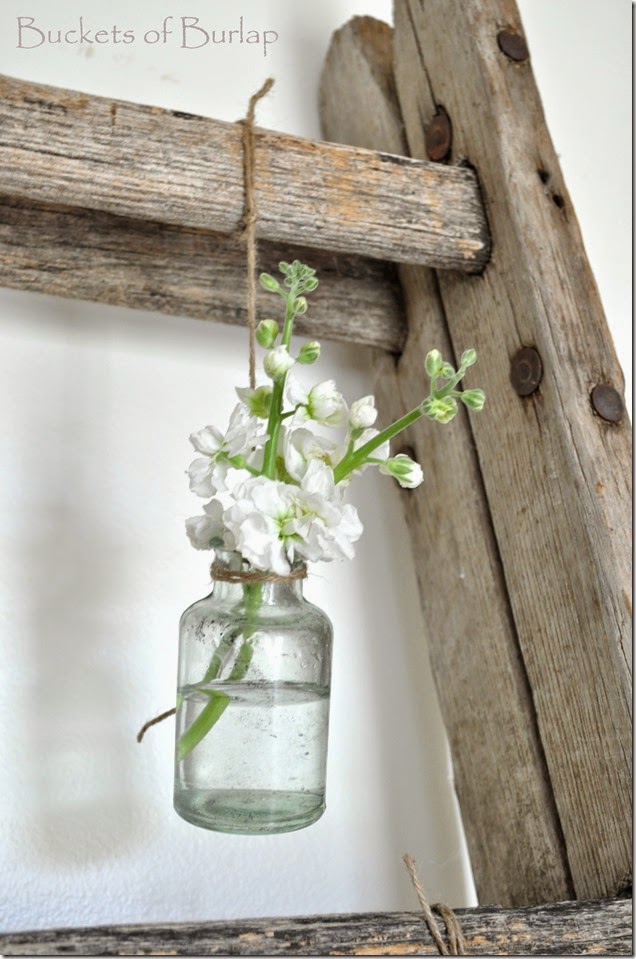 Spring Ladder 3