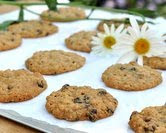 Oatmeal Raisin Cookies