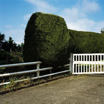 'private property, 2010', C-Print, 90x90cm, 3+2AP, copyright PDB 