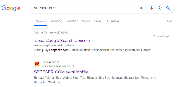 Cara Cek Blog Terindex